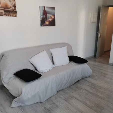 Appartement F2 Du Gatinais à Pithiviers Chambre photo